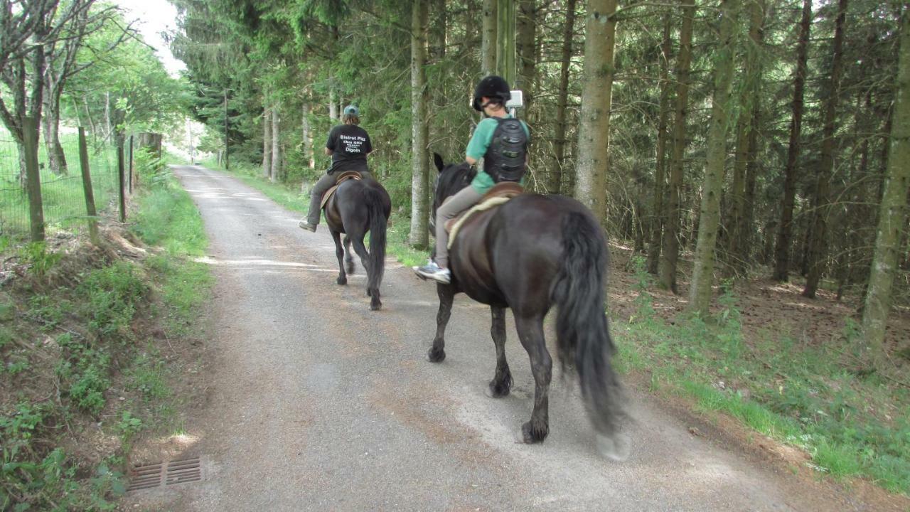 Les Paddocks * Vollore-Montagne